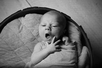 IMG_7231RJ