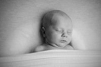 IMG_7183RJ