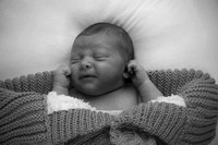 IMG_8300H