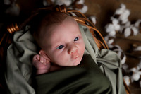 IMG_2603ML