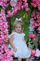 HARPER JAMES